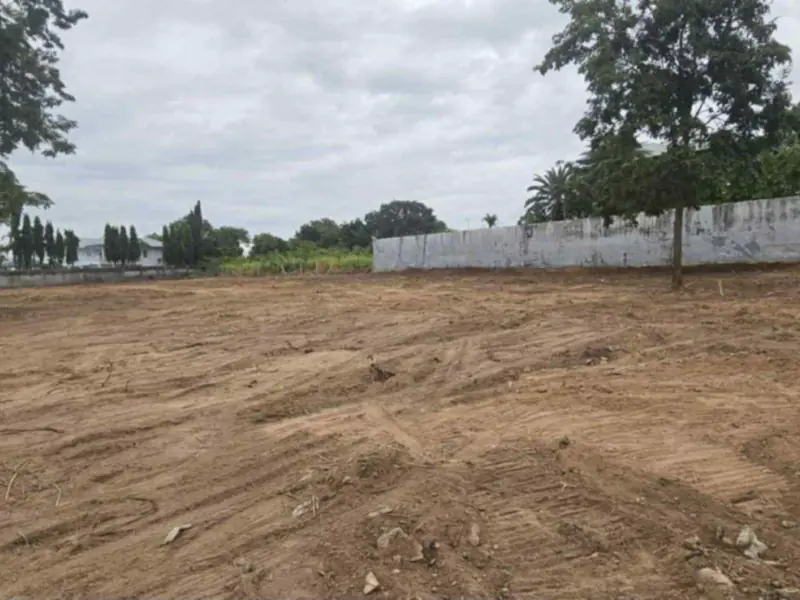 Land For Sale - Only 3.5 Million THB per Rai