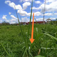 Land For Sale In Huay Yai thumbnail