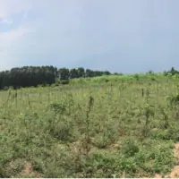 18 Rai Of Land For Sale Near Pattaya Country Club. thumbnail