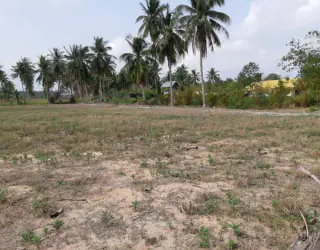 Eigendom Afbeelding 9