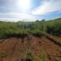 Land For sale Baan Amphur thumbnail