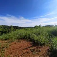 Land For sale Baan Amphur thumbnail