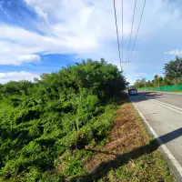 Land For sale Baan Amphur thumbnail