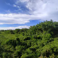 Land For sale Baan Amphur thumbnail