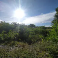 Land For sale Baan Amphur thumbnail