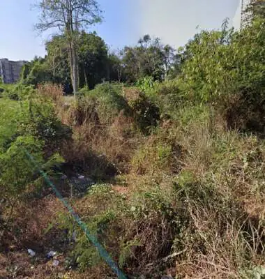 Показать все медиафайлы