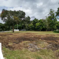 Land for sale Baan Amphur thumbnail