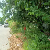 Grundstück zu verkaufen Pratumnak thumbnail