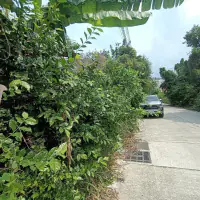 Grundstück zu verkaufen Pratumnak thumbnail