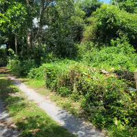 Land 1 and a half Rai for sale Huay Yai thumbnail
