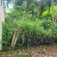 Land 1 and a half Rai for sale Huay Yai thumbnail