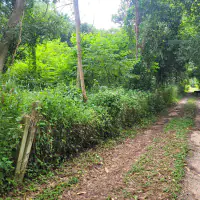 Land 1 and a half Rai for sale Huay Yai thumbnail