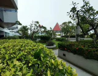 รูปภาพอสังหาริมทรัพย์