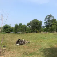 Land for sale Nong prue Banglamung thumbnail