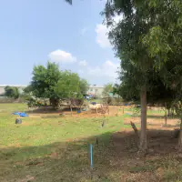 Land for sale Nong prue Banglamung thumbnail