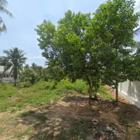 Perfect building land available for sale. thumbnail