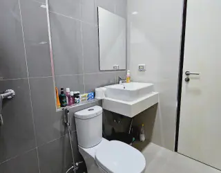 Property Image 43