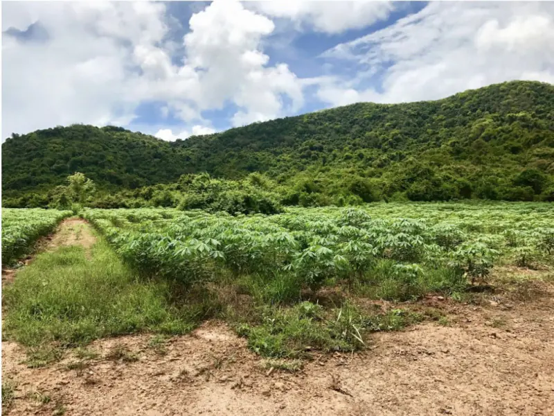 Land Plot for Sale - Sattahip, Bangsaray