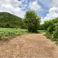 Land Plot for Sale - Sattahip, Bangsaray thumbnail
