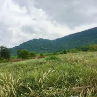 Land Plot for Sale - Sattahip, Bangsaray thumbnail
