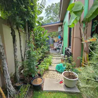 Corner Nordic Home -Soi Noen Plub Wan Siam Country Club thumbnail