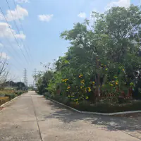 Licensed Resort Investment - Huay Yai, Pattaya thumbnail