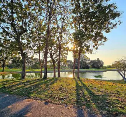 Alle Medien anzeigen