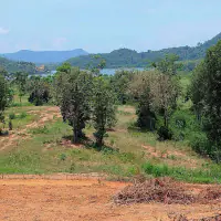 𝙋𝙧𝙞𝙢𝙚 𝙑𝙞𝙚𝙬 𝙇𝙖𝙣𝙙 – 𝙎𝙞𝙡𝙫𝙚𝙧𝙡𝙖𝙠𝙚 (𝙐𝙧𝙜𝙚𝙣𝙩 𝙎𝙖𝙡𝙚) thumbnail