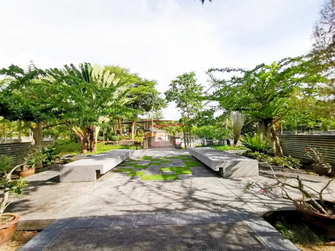 Development Image 11