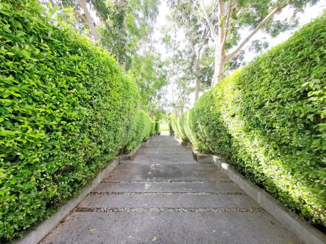 Development Image 12