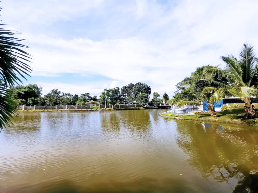 Development Image 13