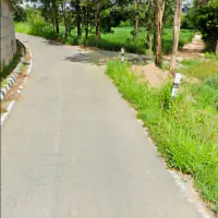 Rare opportunity to acquire a substantial land parcel with outstanding development potential. thumbnail