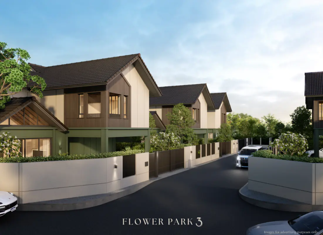 Development Image 2