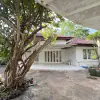 Greenery 1 – House for Sale in Khao Mai Kaeo thumbnail