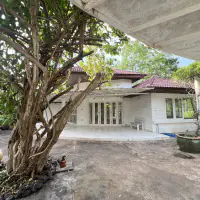 Greenery 1 – 2Houses for Sale in Khao Mai Kaeo thumbnail