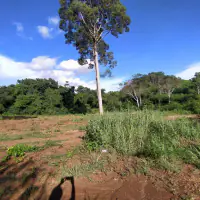 出售土地 巴安安普尔 thumbnail