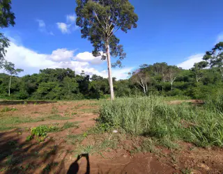 รูปภาพอสังหาริมทรัพย์ 6