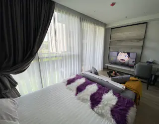 Изображение свойства 18