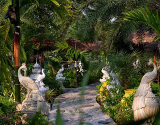 Eigendom Afbeelding 24