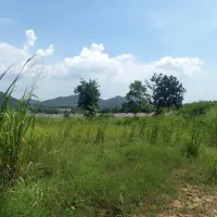 待售土地 thumbnail