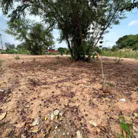 Prime Coastal Land Opportunity-Near Jomtien Beach thumbnail