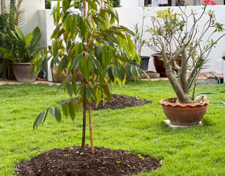 Eigendom Afbeelding 45