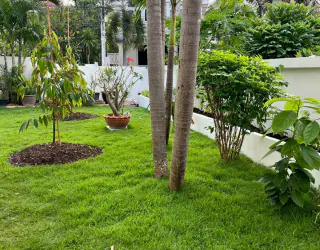 Eigendom Afbeelding 46