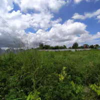 Land For Sale In Huay Yai thumbnail