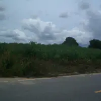 Land For Sale. thumbnail