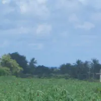 Land For Sale. thumbnail