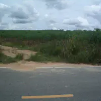 Land For Sale. thumbnail