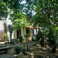 Land For Sale thumbnail