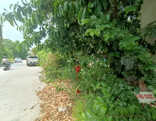 Изображение свойства 3