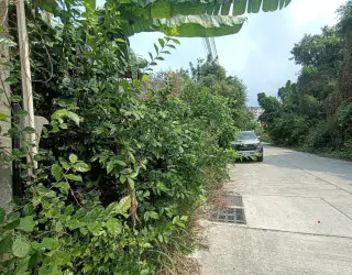 Изображение свойства 5